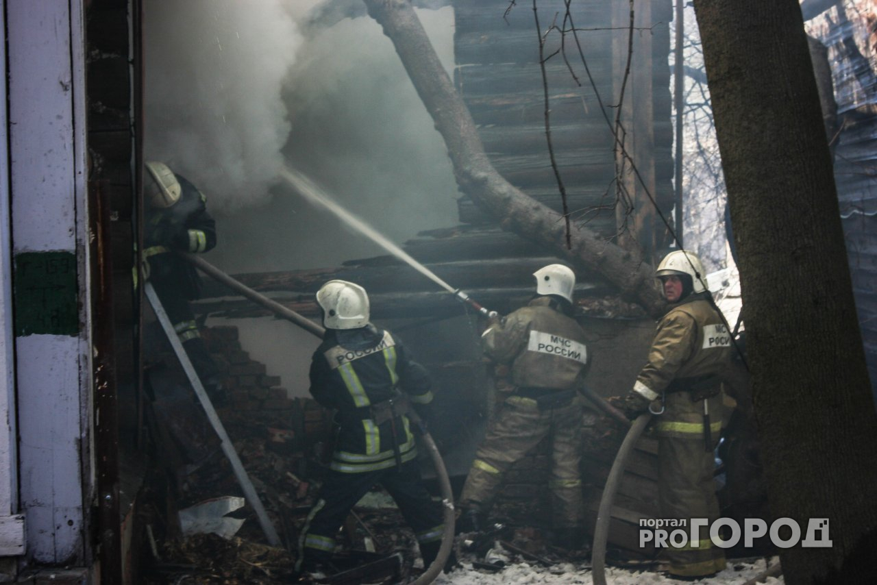 В Починковском районе хозяин заживо сгорел в собственном доме