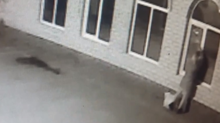 Голодная старушка ограбила магазин продуктов в Дзержинске и попала на видео