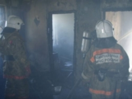 Пожилые супруги заживо сгорели в собственной квартире в Борском районе