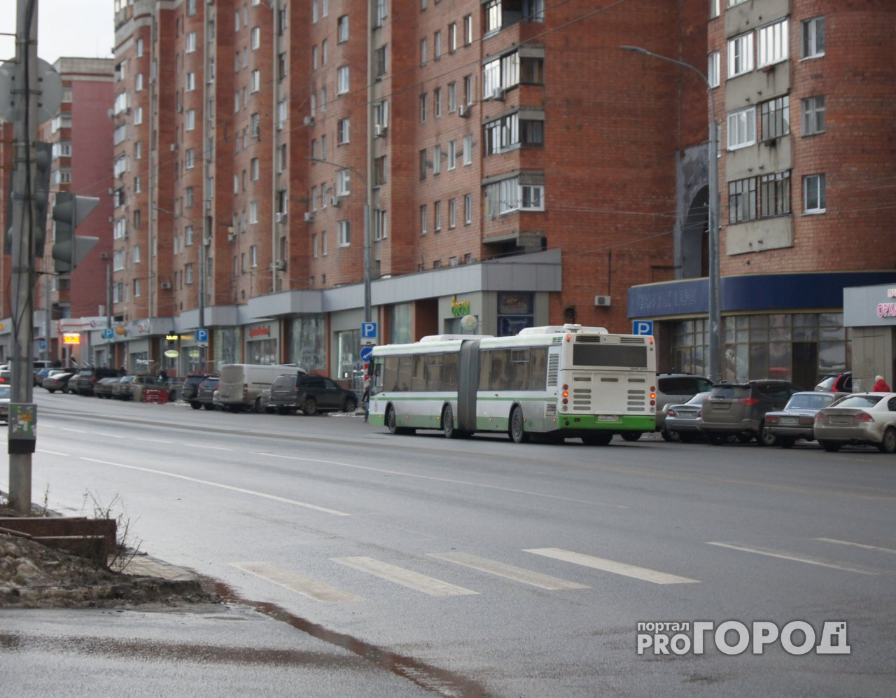 Во время ЧМ-2018 в Нижнем Новгороде пустят бесплатные автобусы