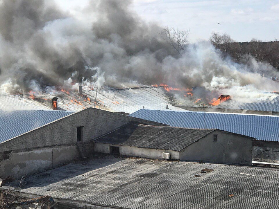 На кожевенном заводе в Богородске произошел крупный пожар