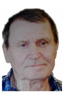 79-летний Михаил Шишов пропал в Нижегородской области