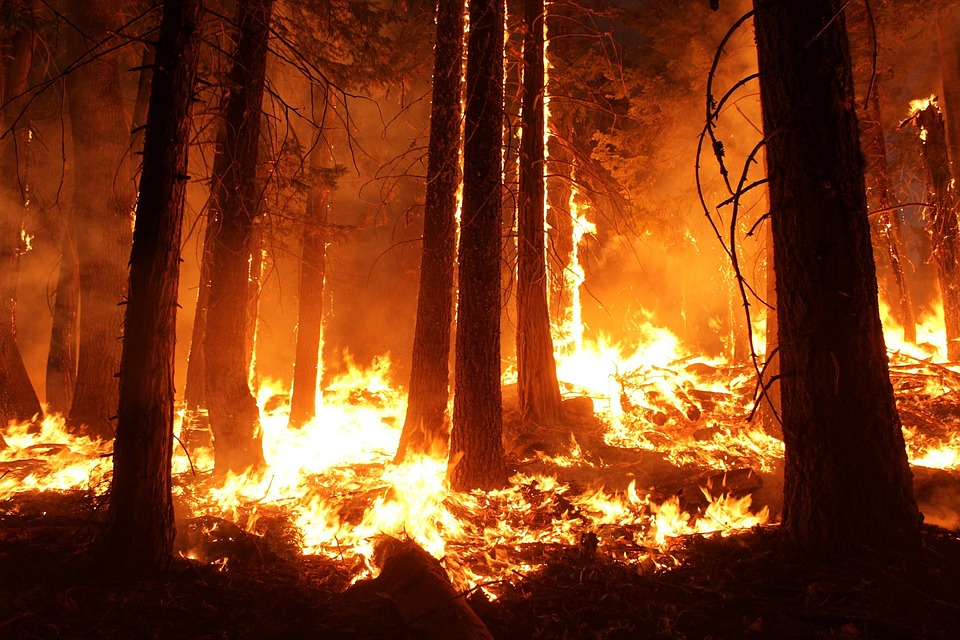 Третий класс пожароопасности введен в 19 районах Нижегородской области