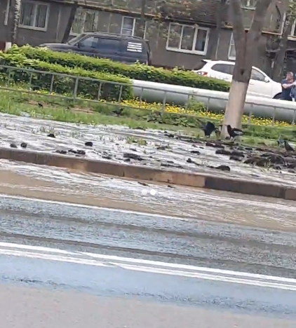 В Нижнем Новгороде Южное шоссе превратилось в реку из-за прорыва трубы (ВИДЕО)
