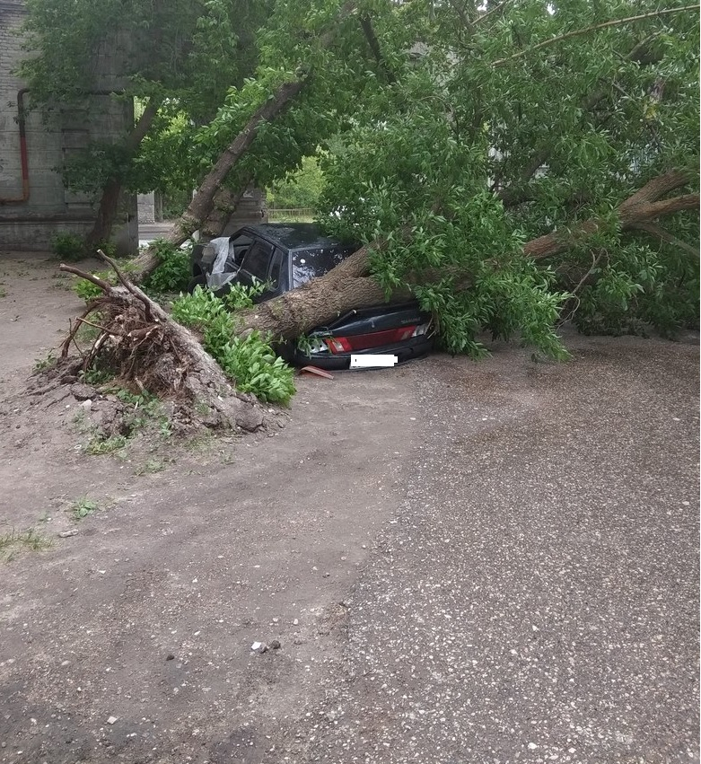 Последствия мощного урагана в Нижнем Новгороде