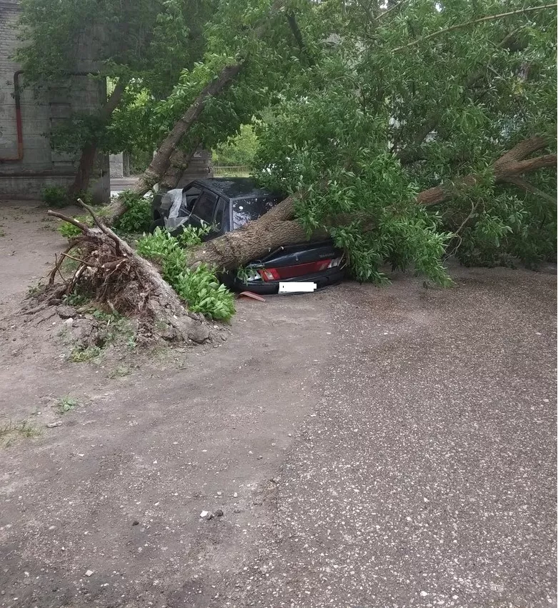 Фото к статье: Последствия мощного урагана в Нижнем Новгороде