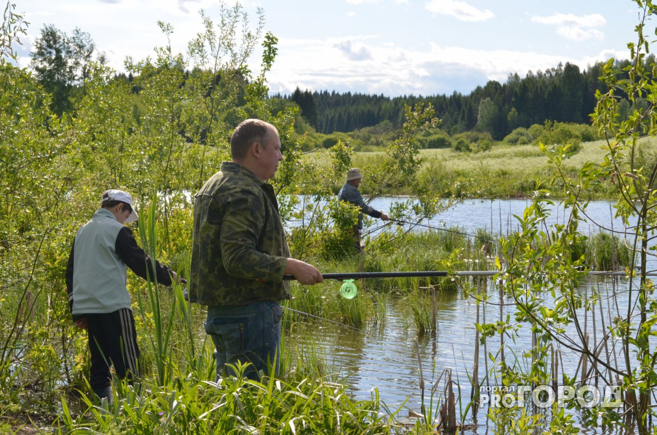 Рыболовов будут штрафовать за хороший улов в Нижегородской области