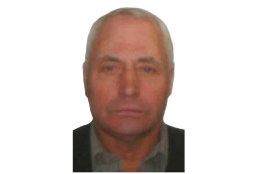 Пропавшего в Нижегородской области 75-летнего Дмитрия Власова нашли