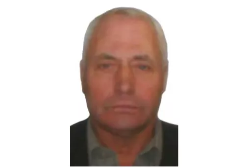 Фото к статье: Пропавшего в Нижегородской области 75-летнего Дмитрия Власова нашли
