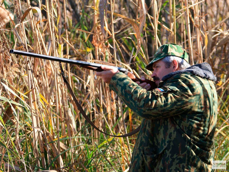 Ответственность за незаконную охоту ужесточили в Нижегородской области