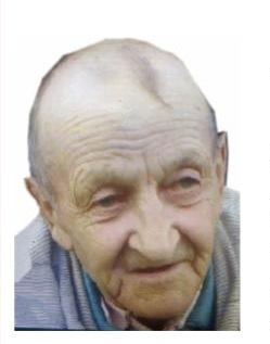 83-летний Владимир Телегин без вести пропал в Нижегородской области