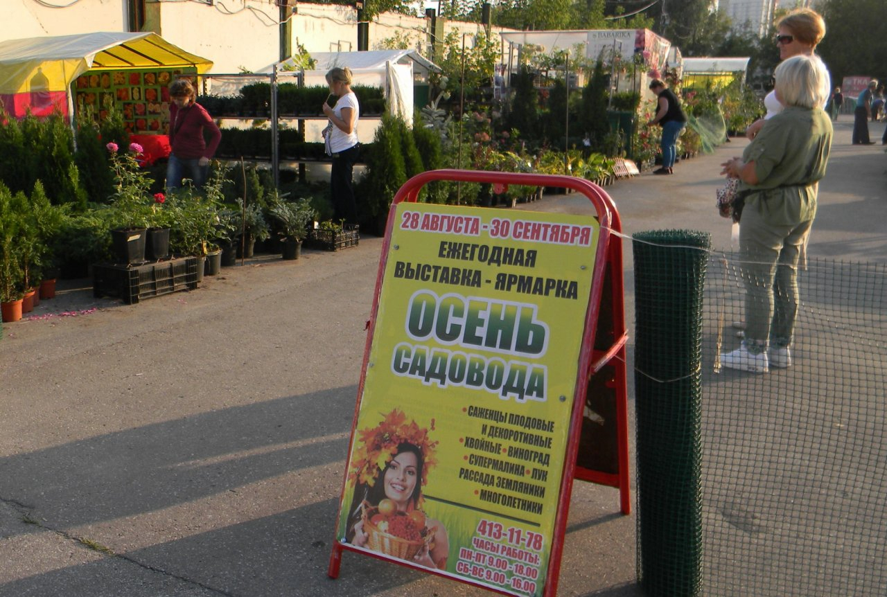 В Нижнем Новгороде проходит ежегодная выставка-ярмарка «Осень садовода»