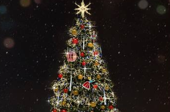 Нижний Новгород купит новогоднюю елку за 10 миллионов рублей