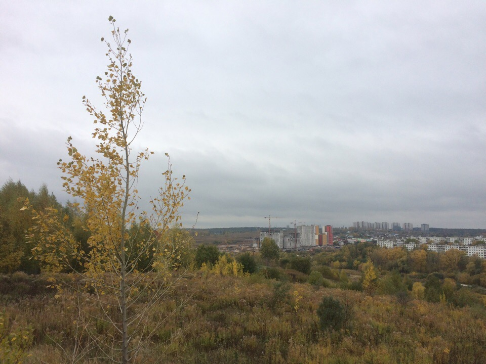 Прогноз погоды на 8 октября в Нижнем Новгороде