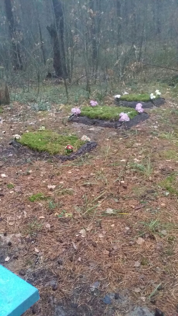 Нелегальное кладбище на обочине трассы обнаружили грибники в Балахнинском районе (ФОТО)