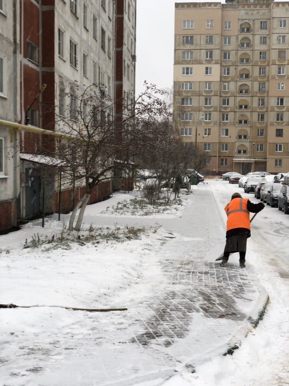 Работу дворников по уборке снега проверят в Нижнем Новгороде (ФОТО, ВИДЕО)