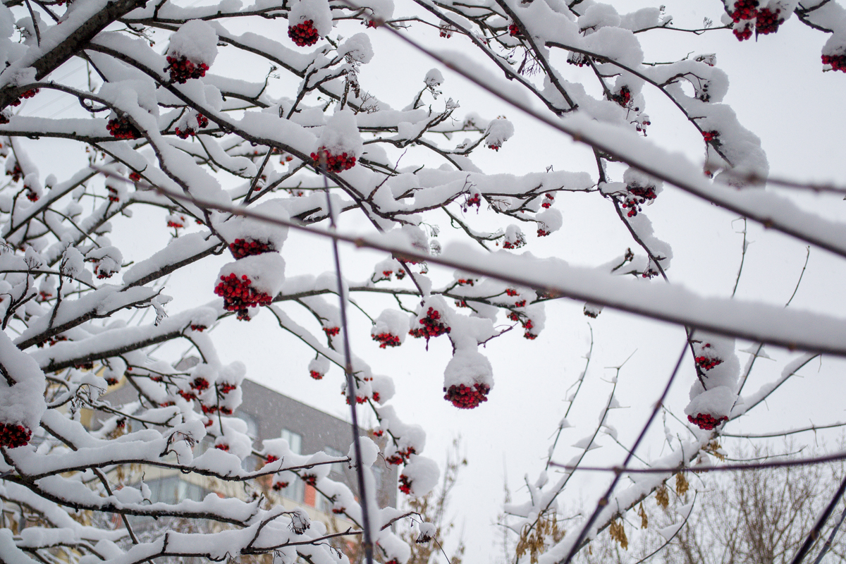 Резкое похолодание ожидается в Нижегородской области с 30 ноября