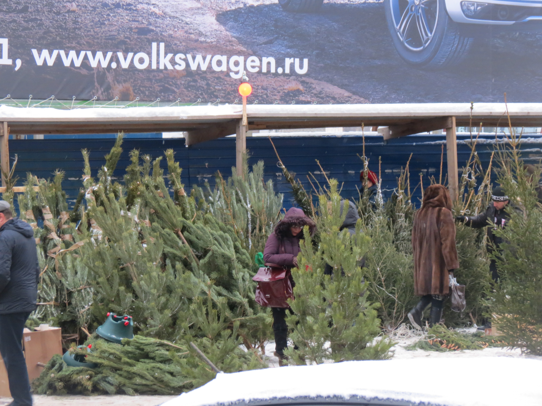 Восемнадцать площадок по продаже новогодних елок откроются в Нижнем Новгороде