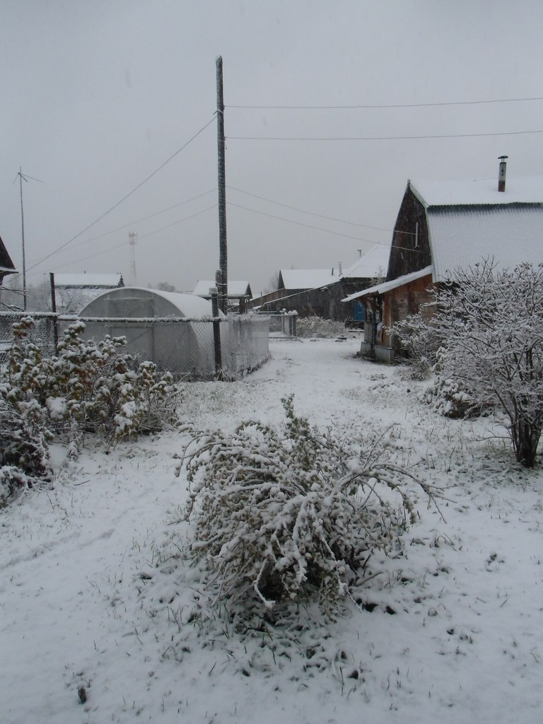 Нижегородцев ждет снежная и теплая рабочая неделя с 10 по 14 декабря