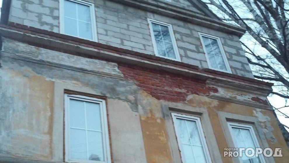 Ничего святого: Кота выкинули из окна многоэтажки в Автозаводском районе