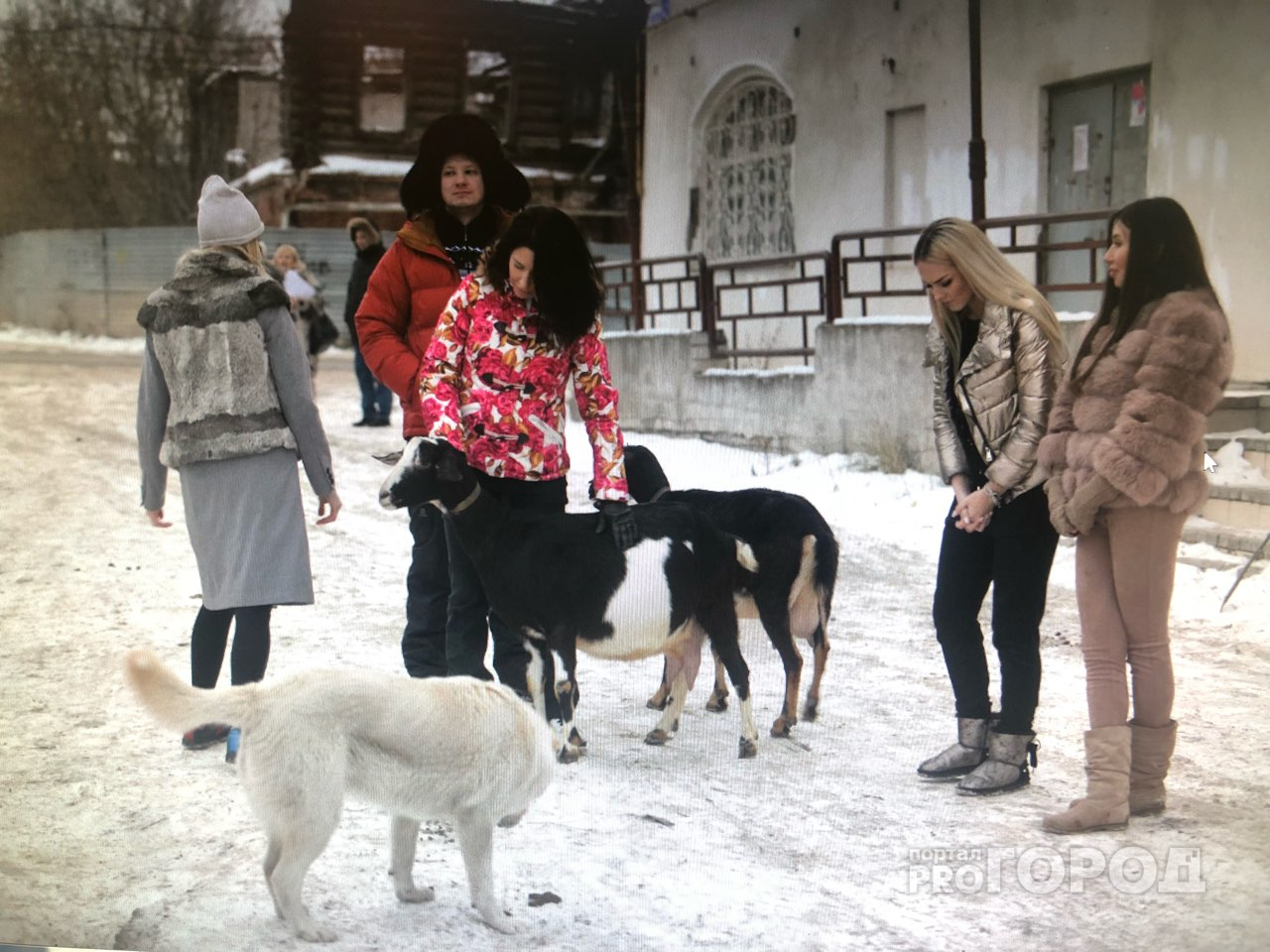 Новости шоу-биза: участницы проекта "Любовь по правилам и без" очаровывают коз