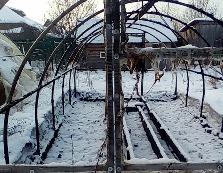 Нелегальный приют для животных был сожжен в Семеновском районе (ФОТО, ВИДЕО)