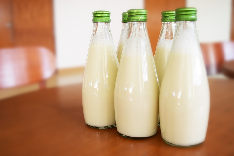 ЕЦМЗ закупит для нижегородских школ и детсадов молочную продукцию на 500 миллионов