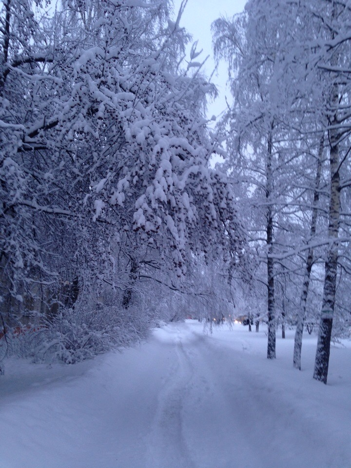 Снег и небольшой мороз пришли в Нижегородскую область на выходные