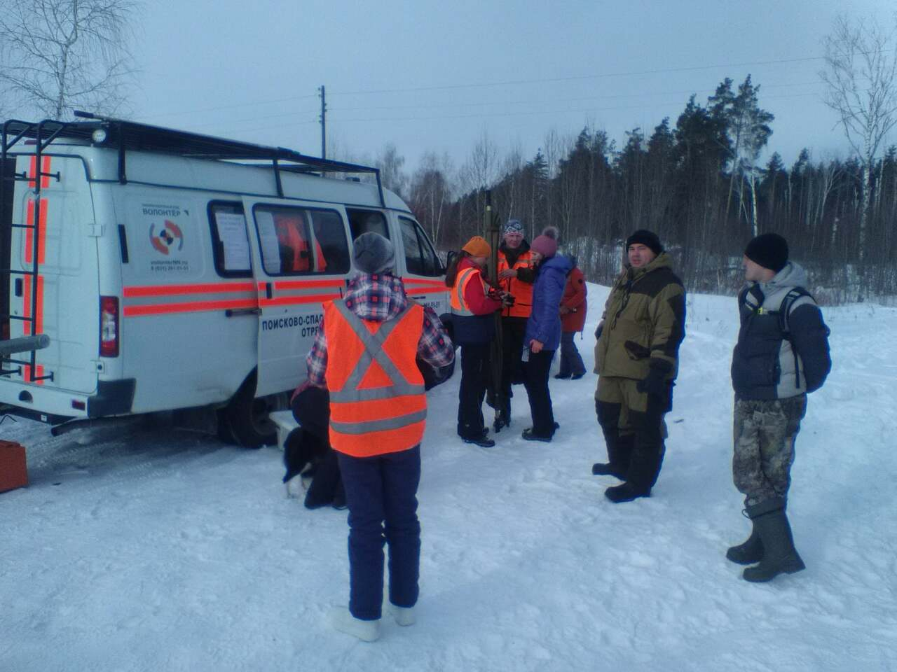 Волонтеры и добровольцы установят навигационные таблички в нижегородском лесу 10 марта