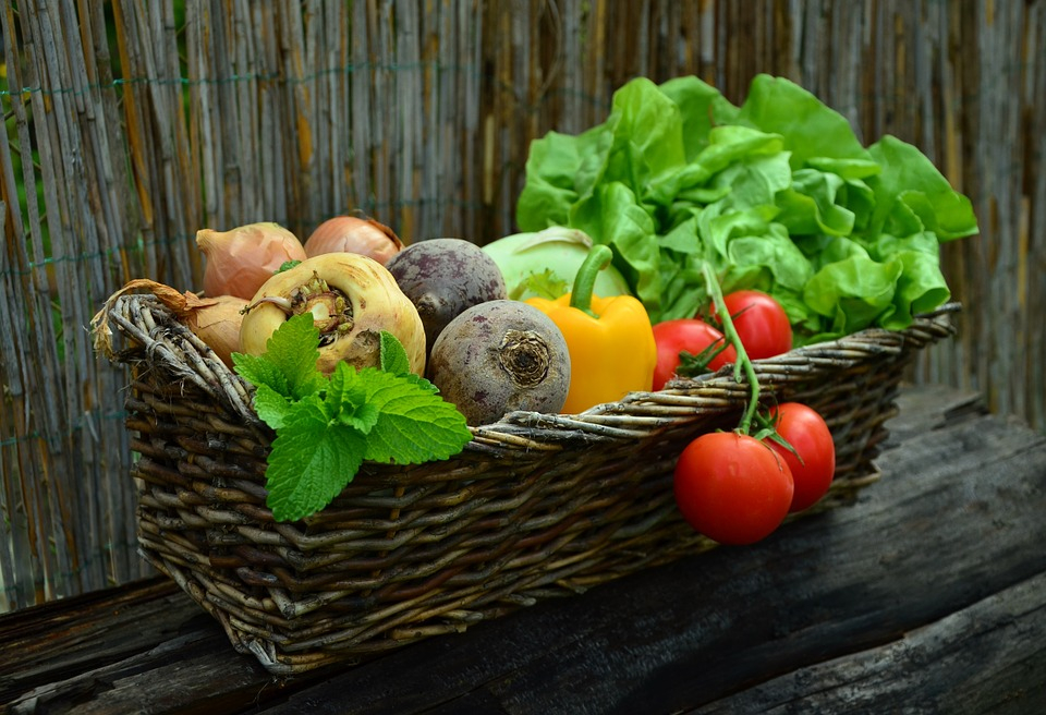 Эксперты рассказали, как правильно выбрать сезонные овощи и фрукты