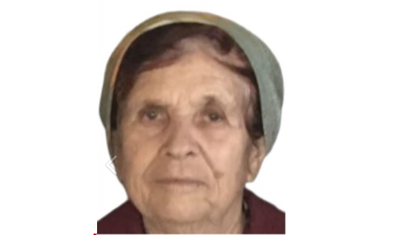 Сбор на поиск: 83-летняя Раиса Лагунова пропала без вести в Нижегородской области