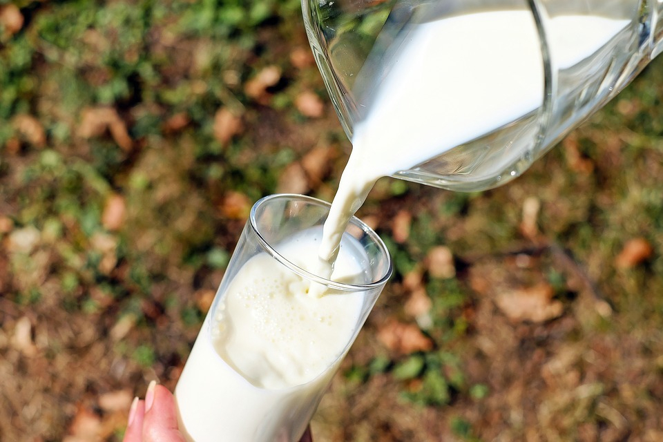 Работники фермерского хозяйства получали зарплату молоком в Нижегородской области
