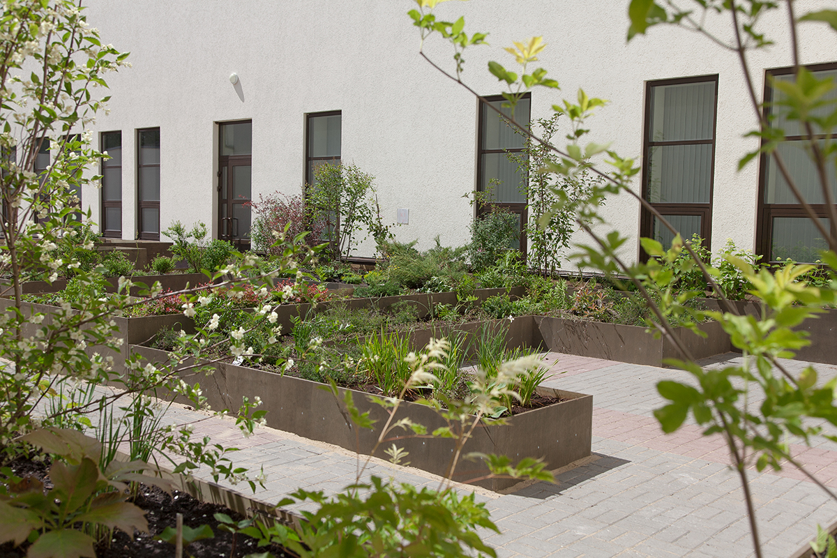 Ботанический «Сад имени» откроется в крематории Нижнего Новгорода