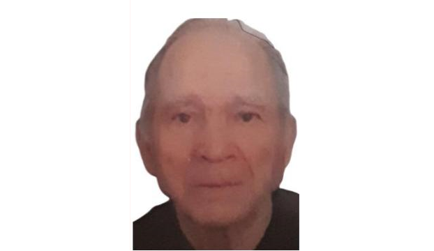 91-летний Николай Васильев пропал в Нижегородской области: объявлен срочный сбор на поиск
