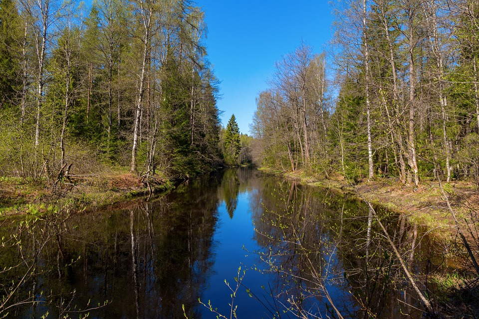 Три реки очистят в Нижегородской области за 168 миллионов рублей