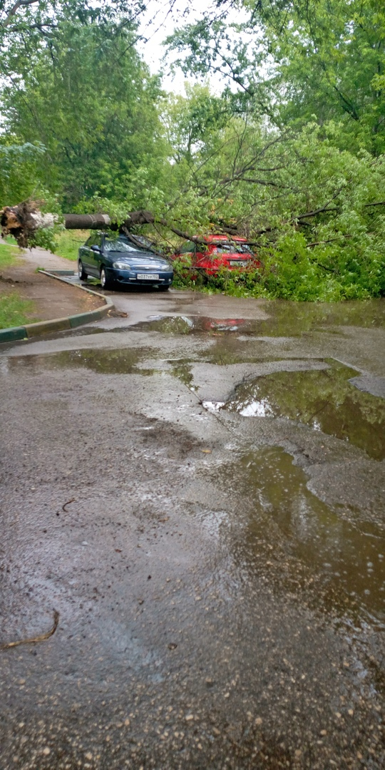 Оборванные провода и помятые автомобили: ураган неожиданно обрушился на Нижний Новгород (ФОТО, ВИДЕО)