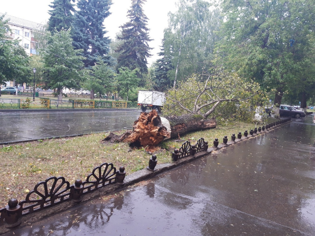МЧС: сильный ветер ожидается в Нижегородской области