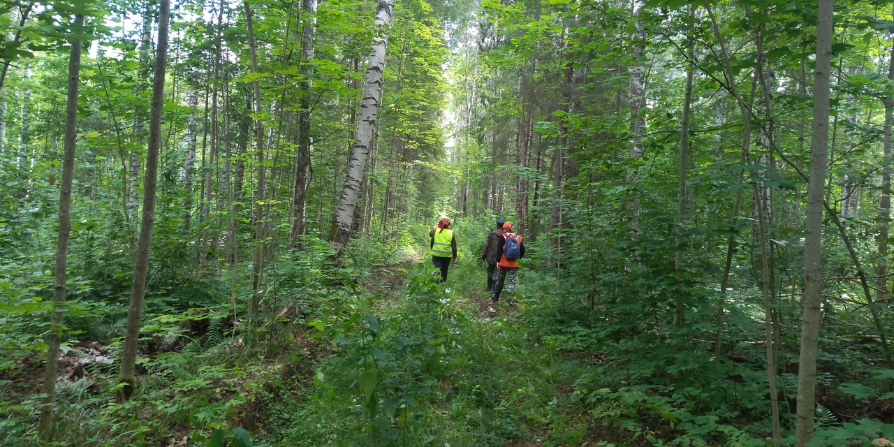 Одна из пропавших в лесу женщин найдена в Семеновском районе