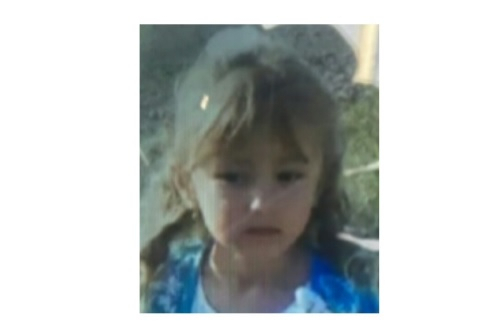 Уголовное дело возбуждено по факту исчезновения 5-летней Зарины Авгоновой в Нижегородской области