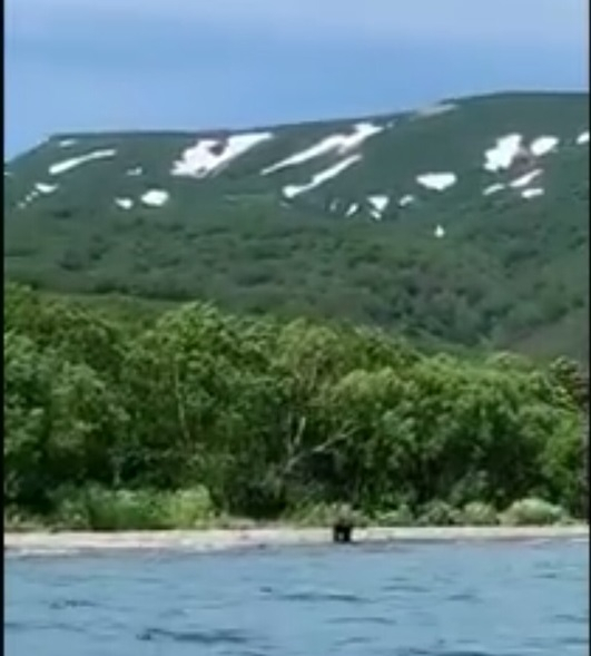 Берег занят медведями: Олег Тактаров поделился видео с экстремальной рыбалки