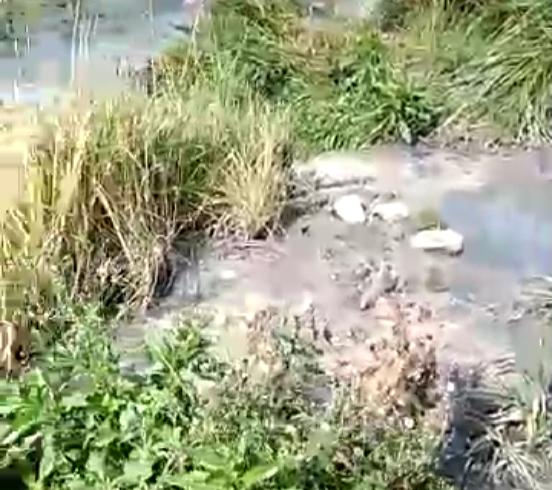 Стало известно, кто виновен в появлении химического болота в Дзержинске