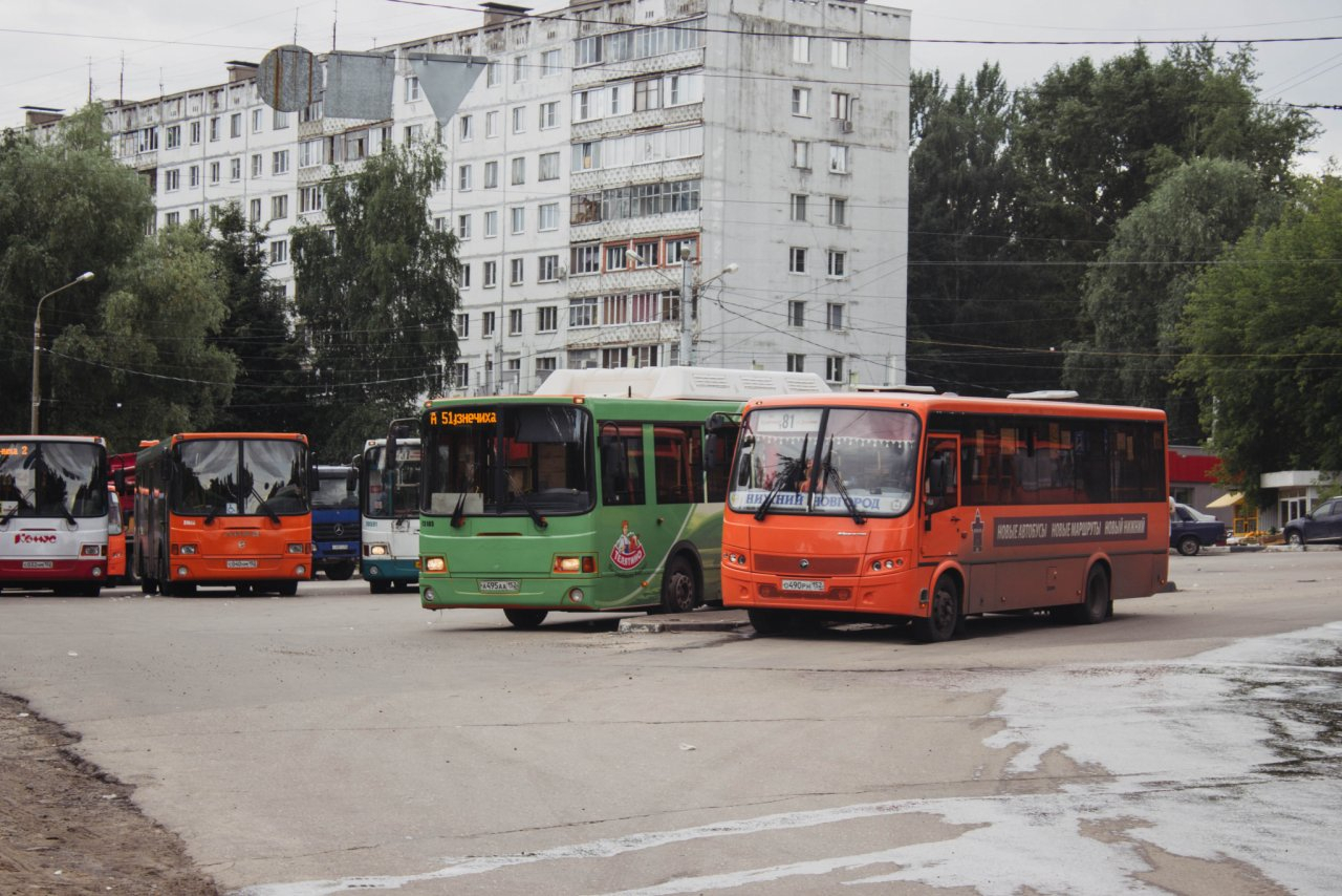 Автобусы Т-55 в Нижнем Новгороде запущены по новому маршруту