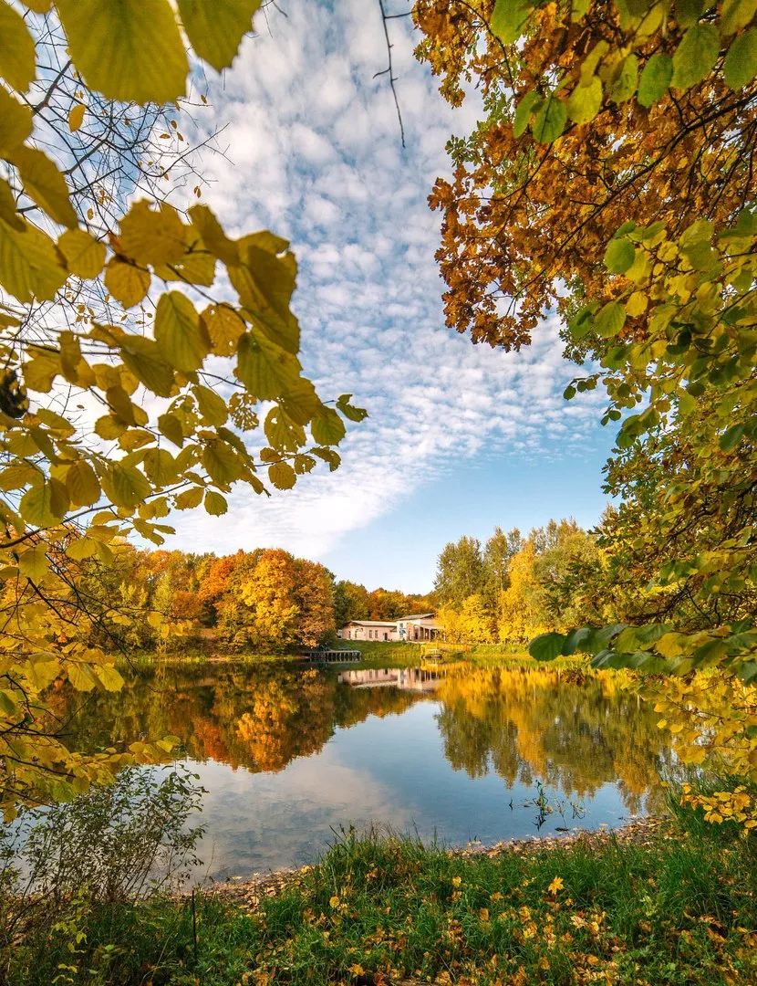 Фото к статье: Осень подобна лету: солнечная и теплая погода пришла в Нижний Новгород