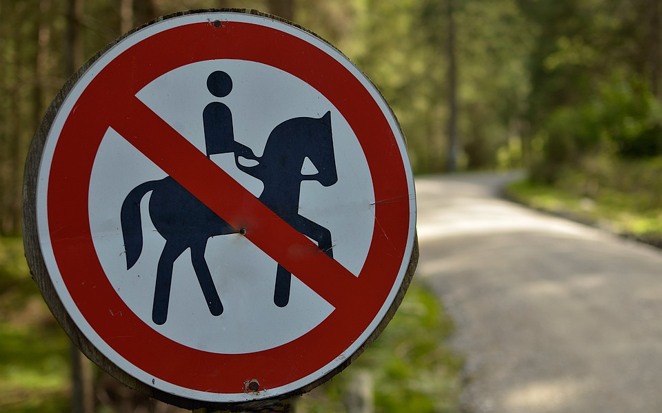 Автомобиль сбил 15-летнего мальчика на лошади в Нижнем Новгороде