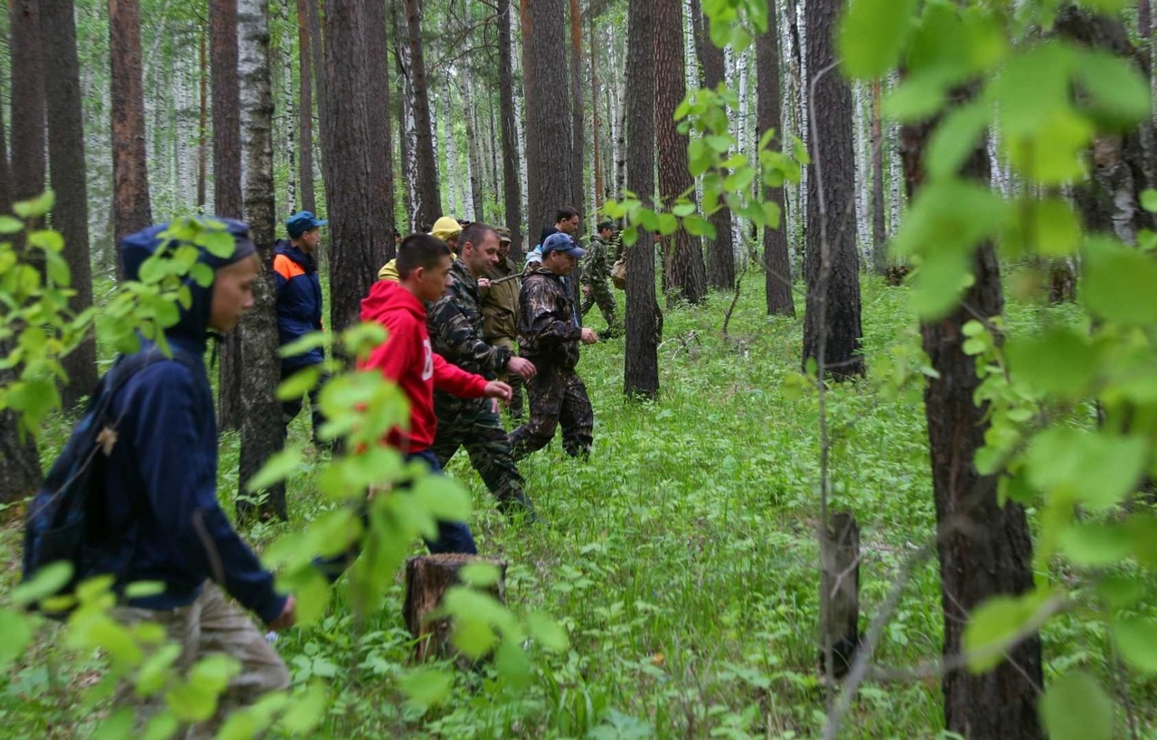 Трех пропавших людей ищут в лесах Борского района больше месяца
