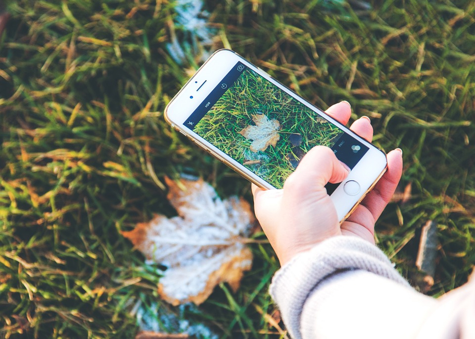 Нижегородец разработал мобильное приложение «Экологический инспектор» для региона