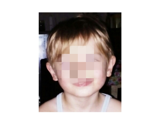 Пропавшего четырехлетнего Мишу Ларина приютила трижды судимая жительница Богородска (ВИДЕО)