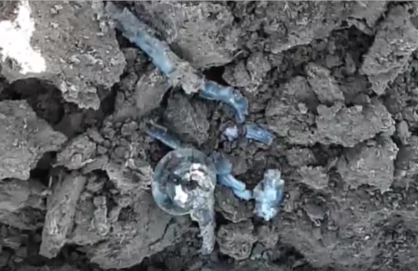 В Городецком районе нашли артиллерийский снаряд: боеприпас уничтожили (ВИДЕО)