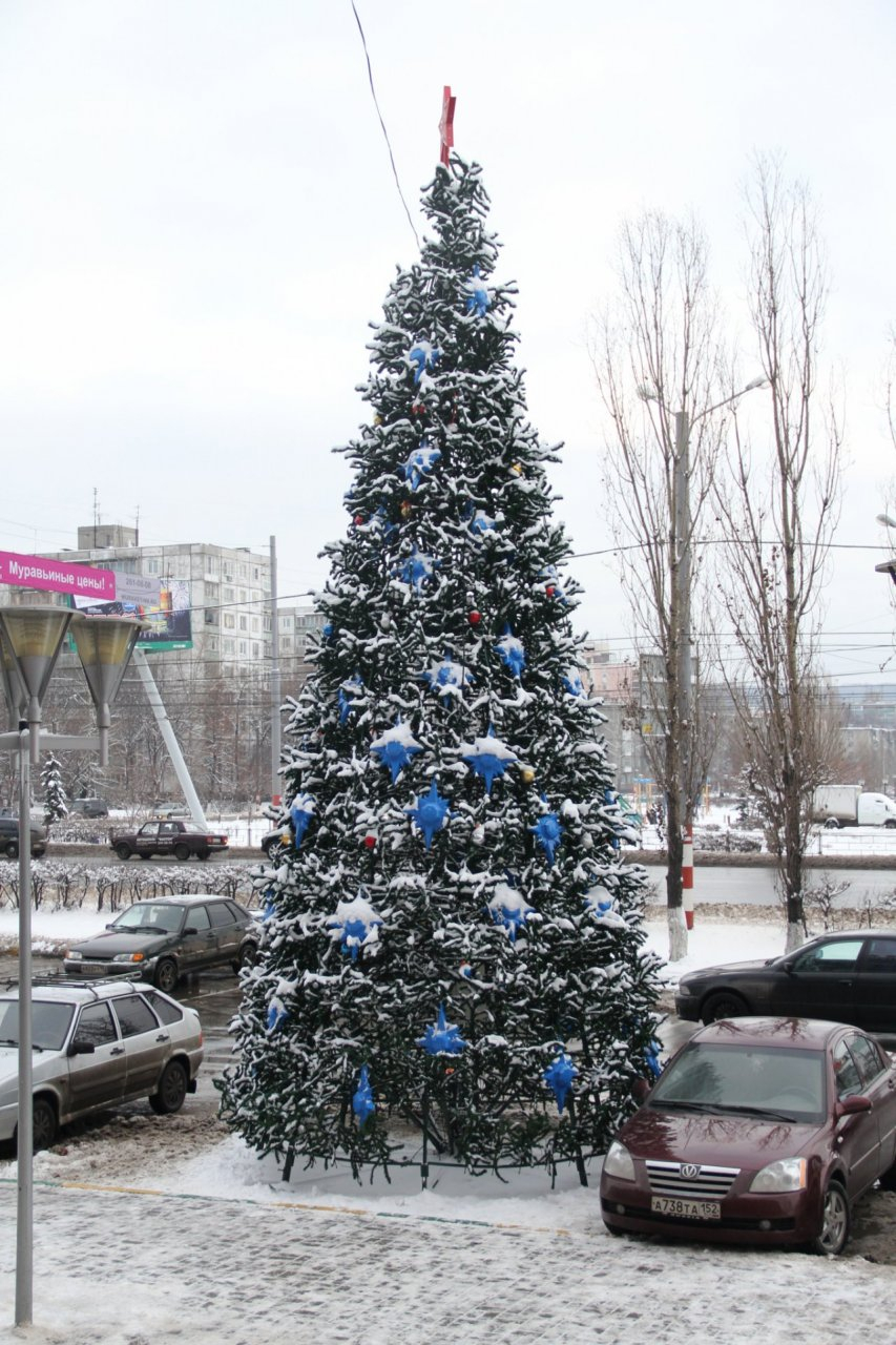Новогодние елки установят в районах Нижнего Новгорода до 20 декабря