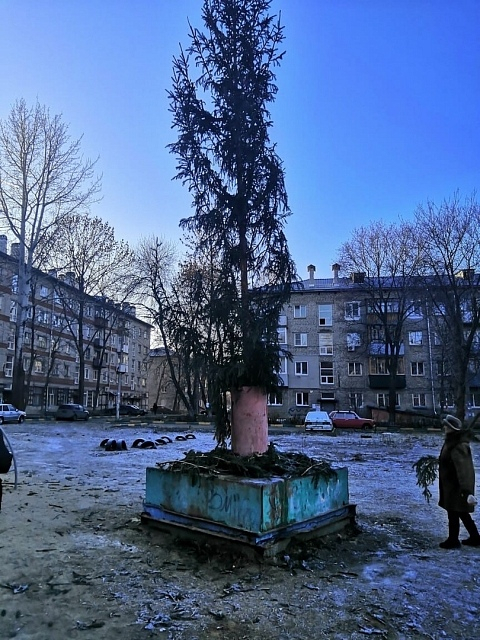 Прошлогодняя что ли: «похоронную» елку поставили в Канавинском районе (ФОТО)